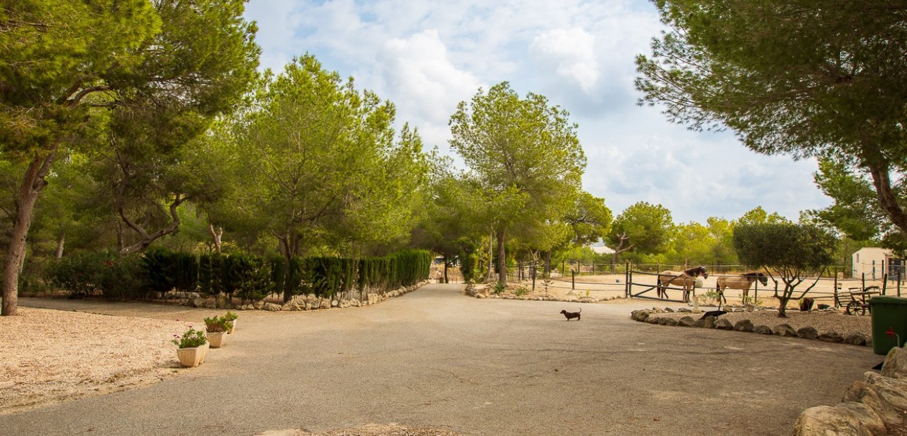 Herverkoop - Country Property/Finca -
Torremendo