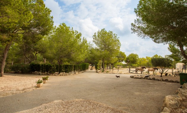 Herverkoop - Country Property/Finca -
Torremendo