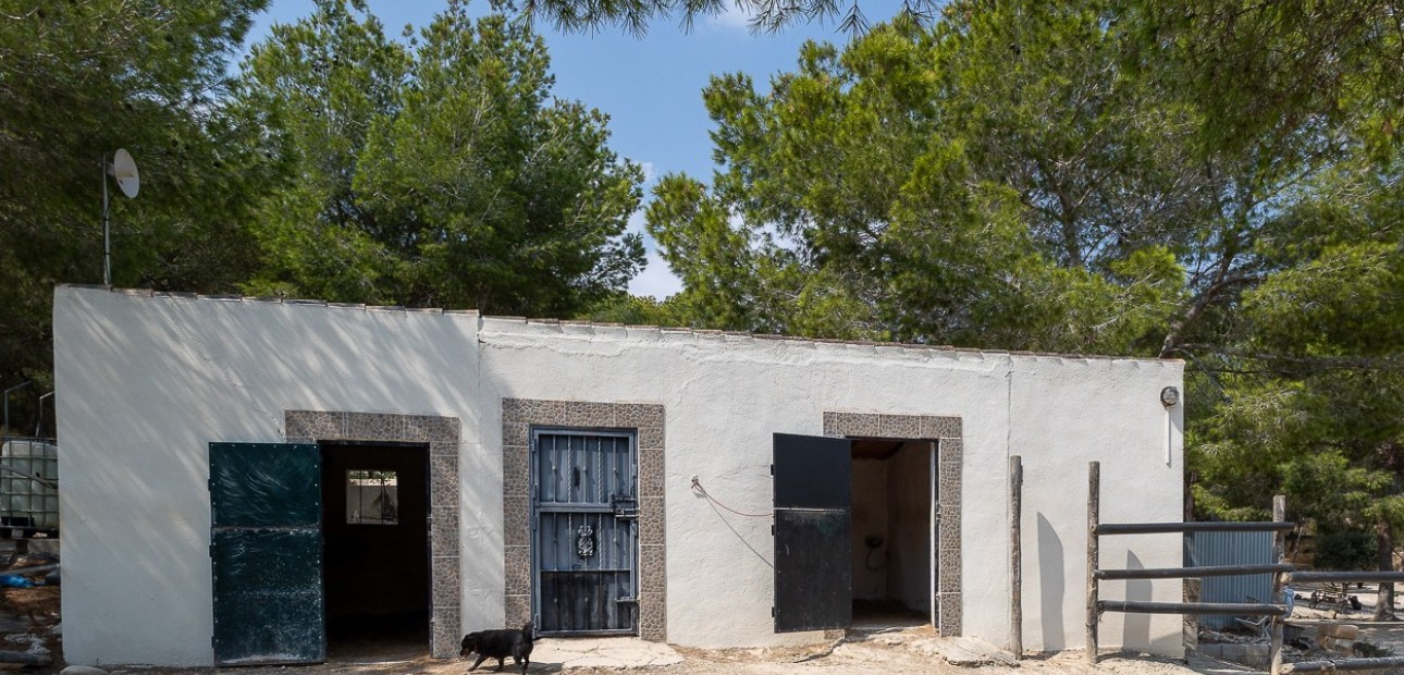 Herverkoop - Country Property/Finca -
Torremendo