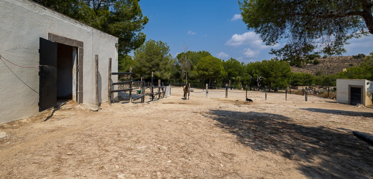 Herverkoop - Country Property/Finca -
Torremendo