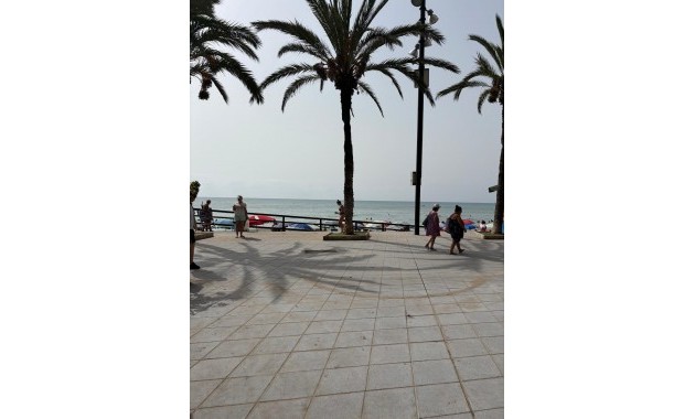 Sale - Apartment / flat -
Torrevieja - Playa del cura