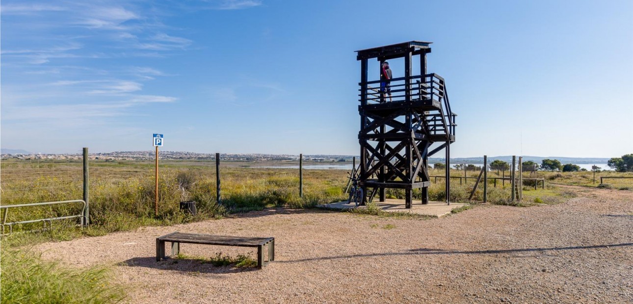 Sale - Villa -
Torrevieja - El limonar