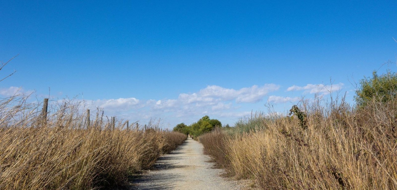 Sale - Villa -
Torrevieja - El limonar