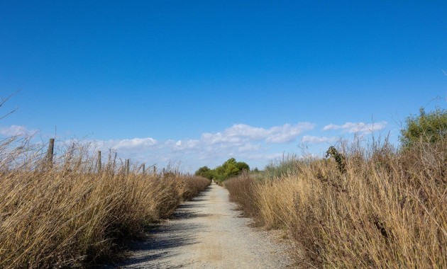 Sale - Villa -
Torrevieja - El limonar