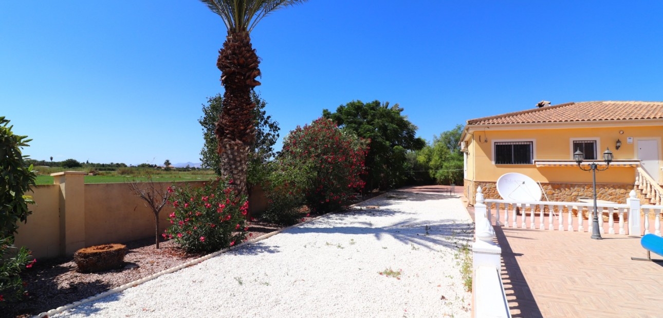 Venta - Country Property -
Catral - Catral - Country