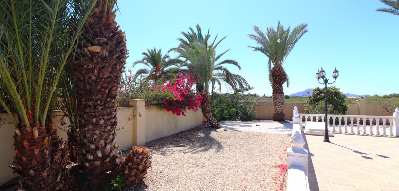 Venta - Country Property -
Catral - Catral - Country