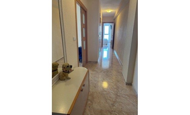 Herverkoop - Appartement / flat -
Torrevieja - Playa de los Naufragos