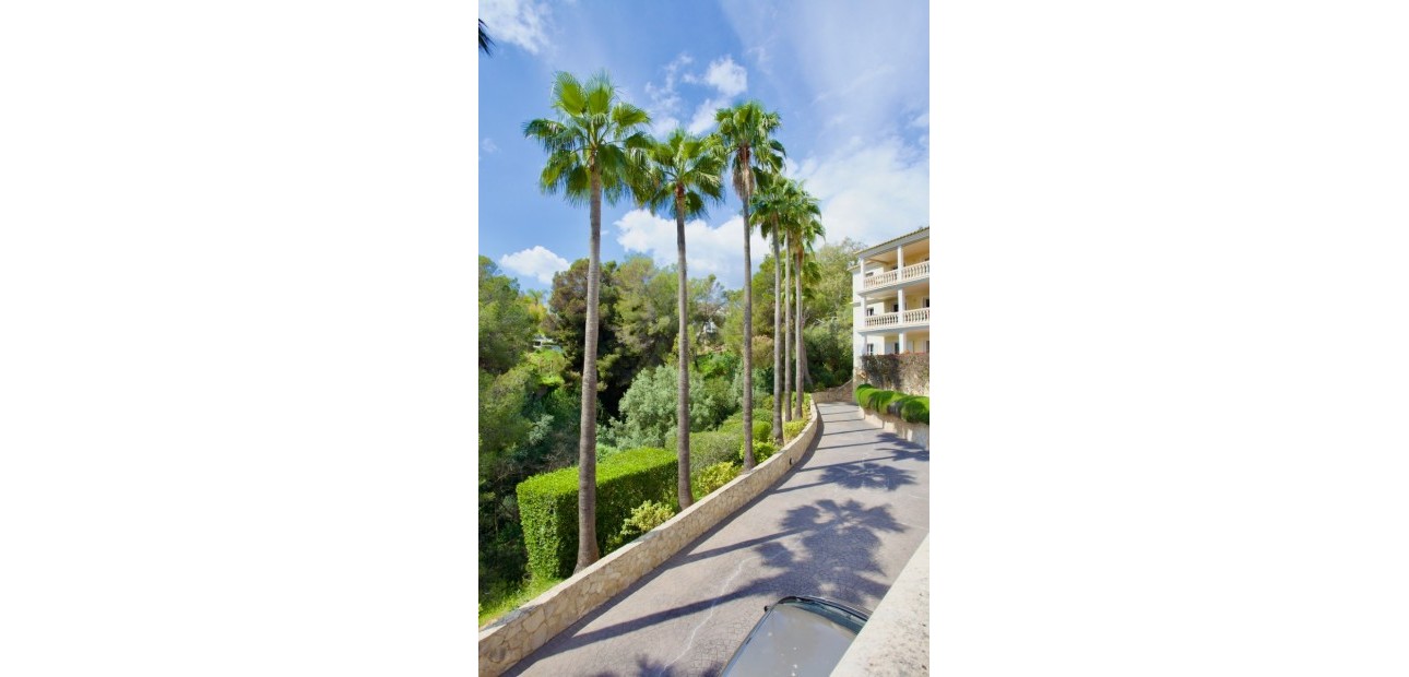 Herverkoop - Apartment - Ground Floor -
Portals Nous - Calvià