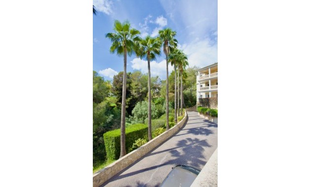 Herverkoop - Apartment - Ground Floor -
Portals Nous - Calvià
