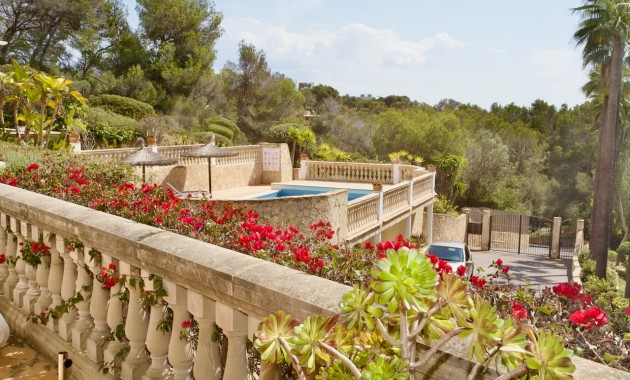 Herverkoop - Apartment - Ground Floor -
Portals Nous - Calvià