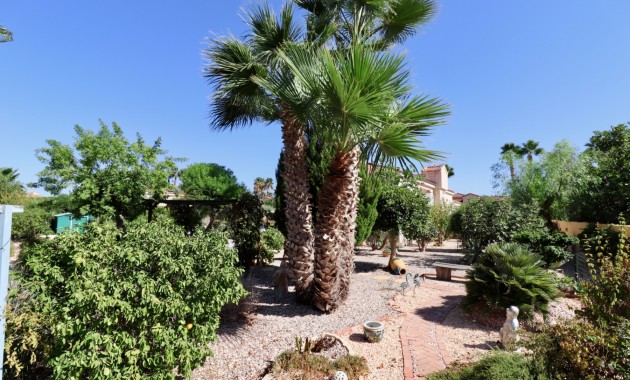 Herverkoop - Country Property -
Catral