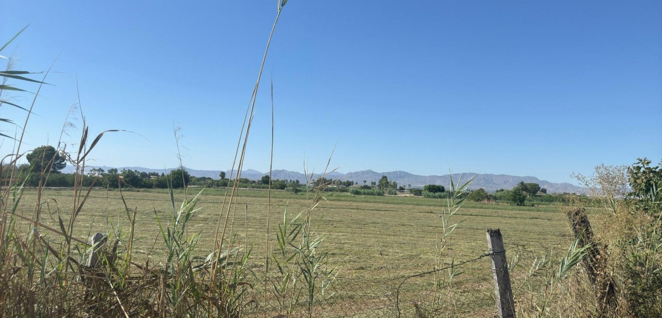 Herverkoop - Terraced house -
Almoradi - El saladar
