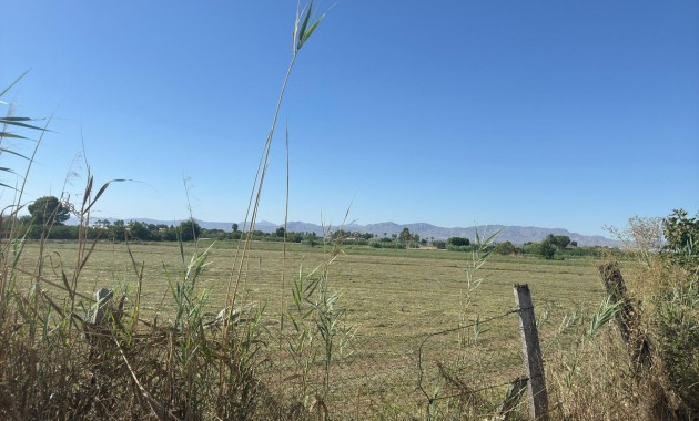 Herverkoop - Terraced house -
Almoradi - El saladar
