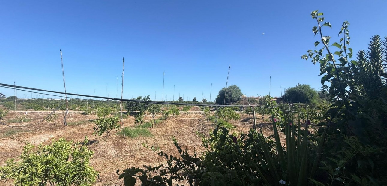 Herverkoop - Terraced house -
Almoradi - El saladar