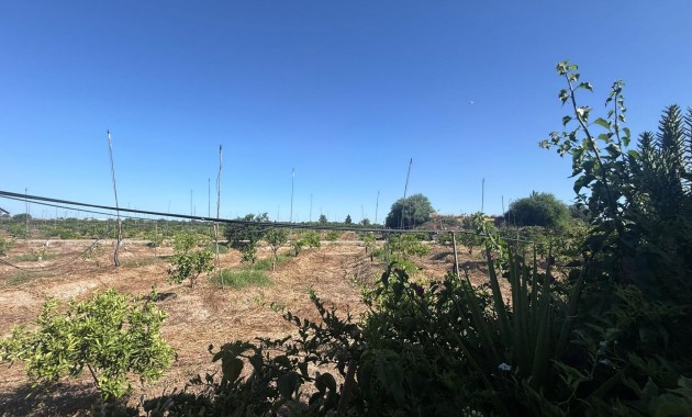 Herverkoop - Terraced house -
Almoradi - El saladar