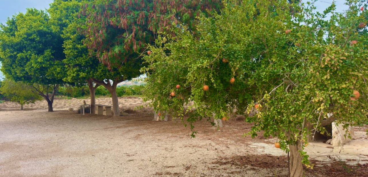 Herverkoop - Finca / Country Property -
Rojales - Cuidad Quesada