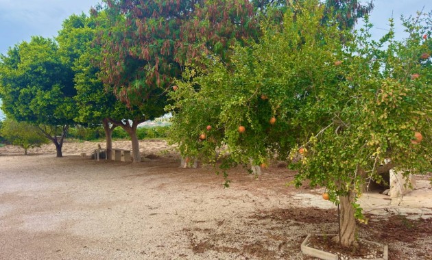 Herverkoop - Finca / Country Property -
Rojales - Cuidad Quesada