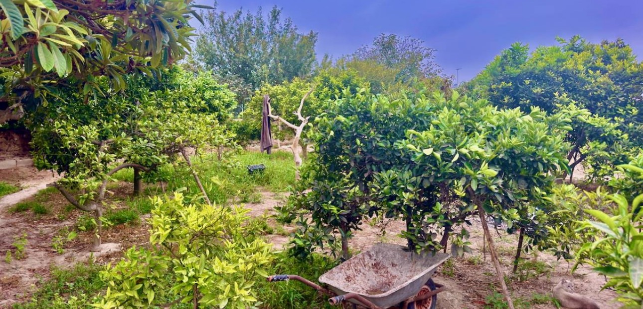 Herverkoop - Finca / Country Property -
Rojales - Cuidad Quesada