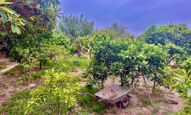 Herverkoop - Finca / Country Property -
Rojales - Cuidad Quesada