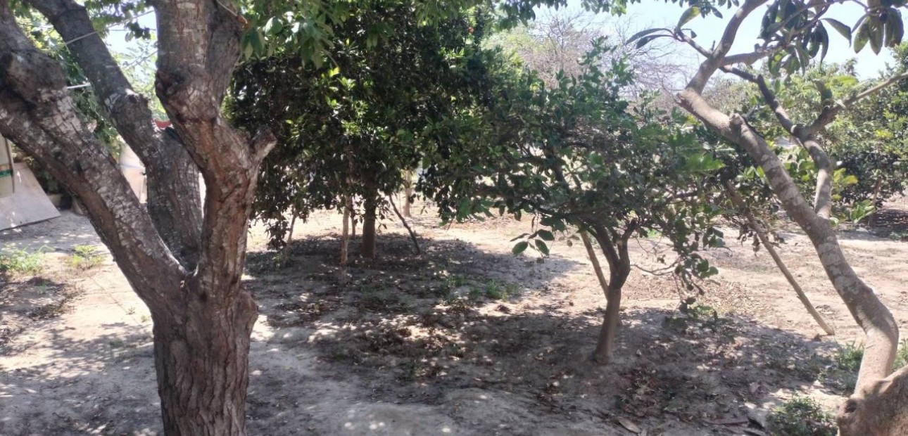 Herverkoop - Finca / Country Property -
Rojales - Cuidad Quesada