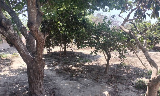 Herverkoop - Finca / Country Property -
Rojales - Cuidad Quesada