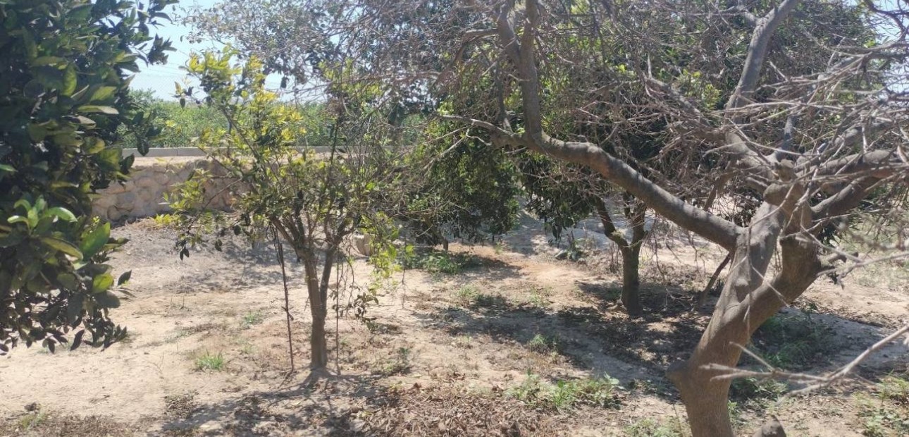 Herverkoop - Finca / Country Property -
Rojales - Cuidad Quesada