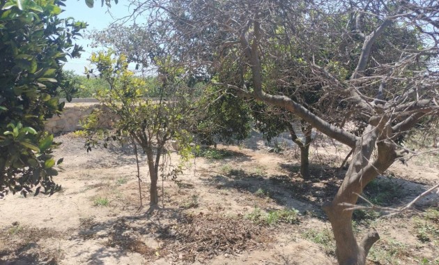 Herverkoop - Finca / Country Property -
Rojales - Cuidad Quesada