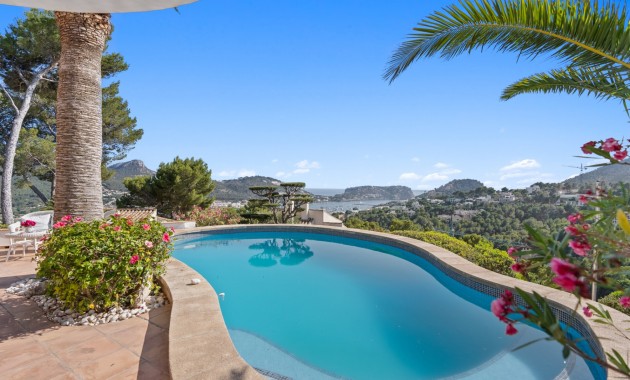 Venta - Vila -
Port d'Andratx - Andratx