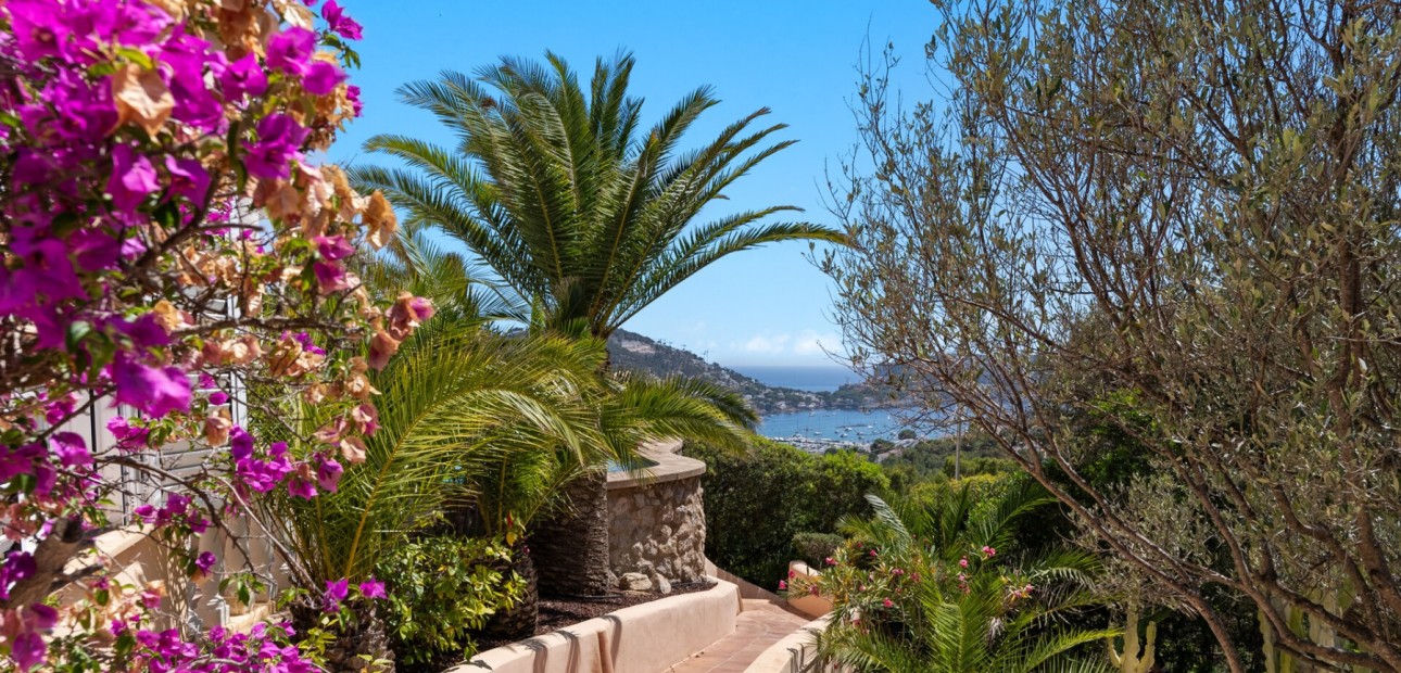 Venta - Vila -
Port d'Andratx - Andratx