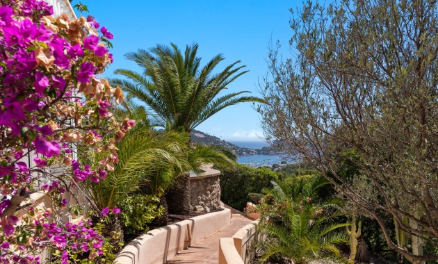 Venta - Vila -
Port d'Andratx - Andratx