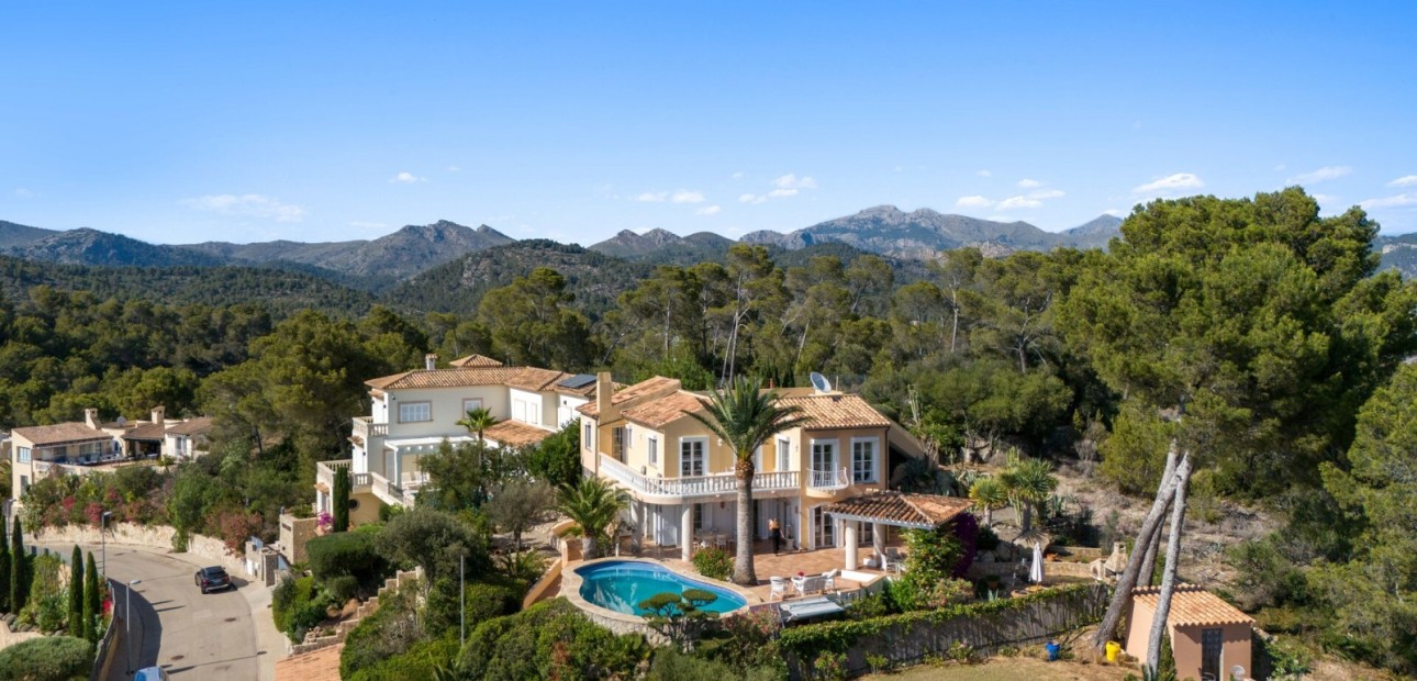 Venta - Vila -
Port d'Andratx - Andratx