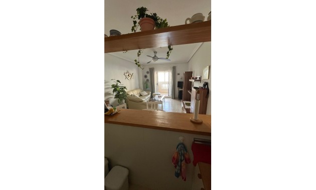 Herverkoop - Appartement / flat -
Torrevieja - Torreblanca