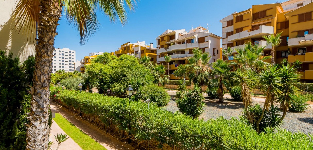 Herverkoop - Appartement / flat -
Torrevieja - Punta prima