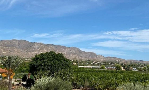 Herverkoop - Country House -
Albatera - Pueblo 11