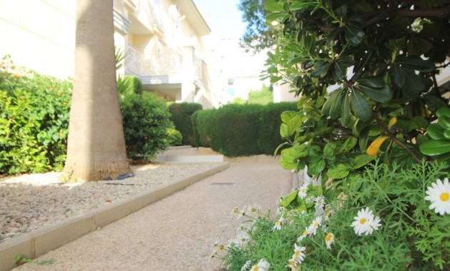 Herverkoop - Appartement / flat -
Torrevieja - La veleta