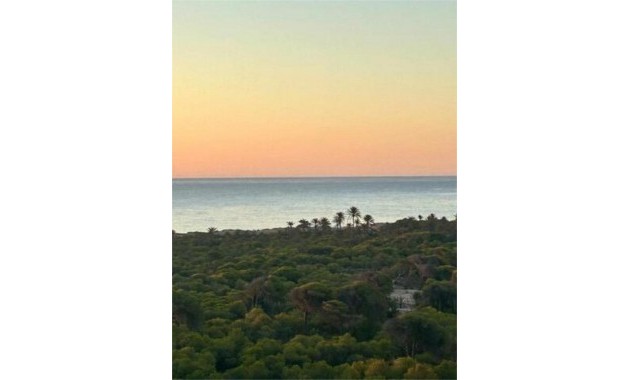 Herverkoop - Appartement / flat -
Torrevieja - torrevieja