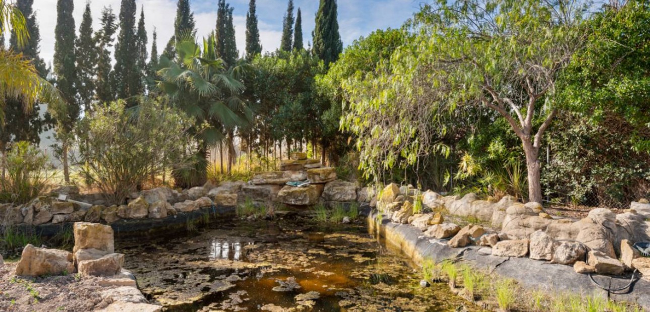 Herverkoop - Finca / Country Property -
Catral