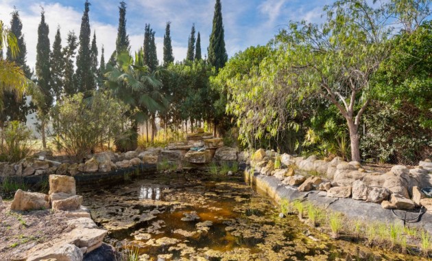 Herverkoop - Finca / Country Property -
Catral