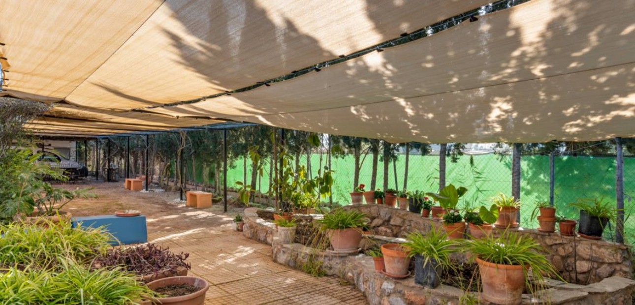 Herverkoop - Finca / Country Property -
Catral