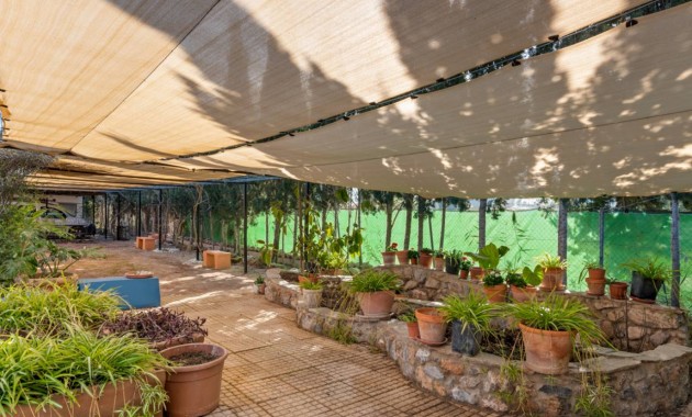 Herverkoop - Finca / Country Property -
Catral