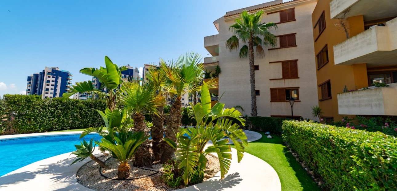 Herverkoop - Appartement / flat -
Punta Prima