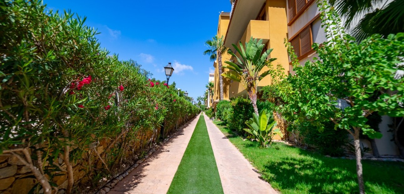 Herverkoop - Appartement / flat -
Punta Prima