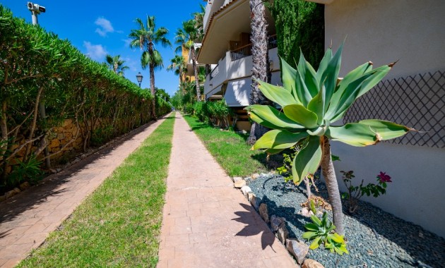 Herverkoop - Appartement / flat -
Punta Prima