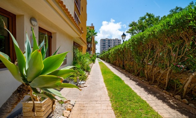 Herverkoop - Appartement / flat -
Punta Prima