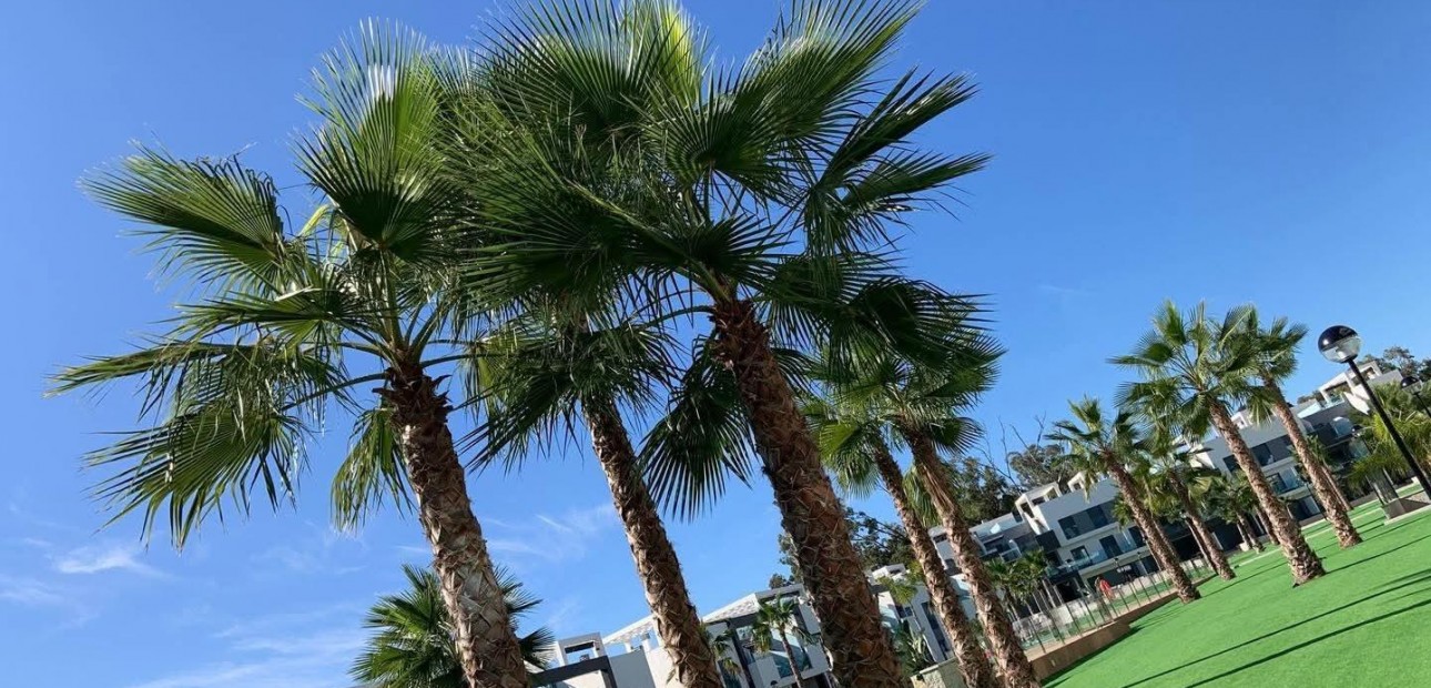 Sale - Bungalow -
Guardamar del Segura - EL RASO