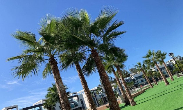 Sale - Bungalow -
Guardamar del Segura - EL RASO