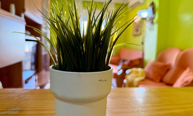 Herverkoop - Appartement / flat -
Torrevieja - Playa de los locos