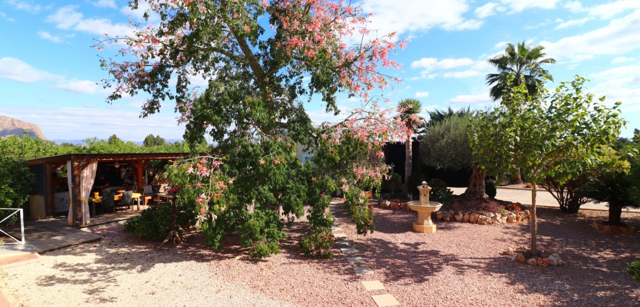 Venta - Country Property -
Orihuela - La Campaneta