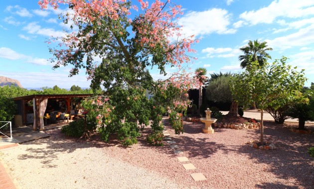 Venta - Country Property -
Orihuela - La Campaneta