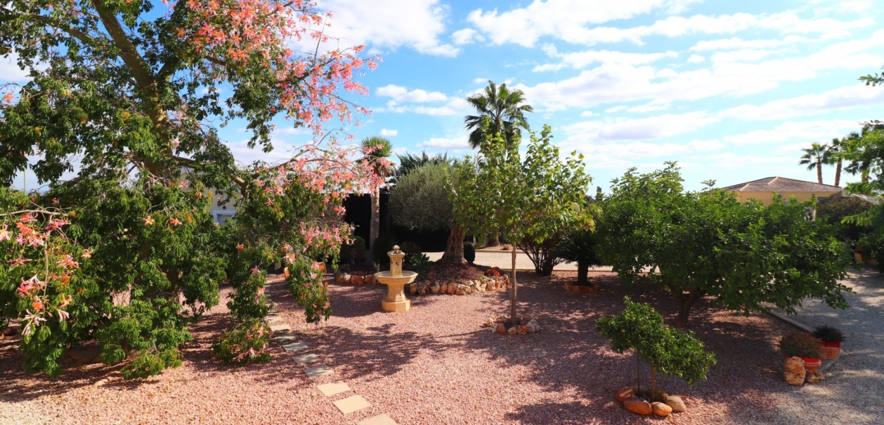 Venta - Country Property -
Orihuela - La Campaneta